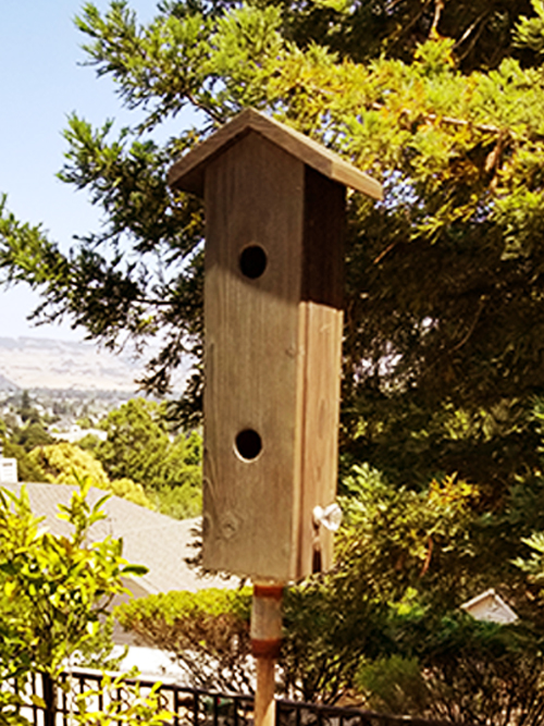 Birdhouse #14 proceeds to Redwood Empire Food Bank